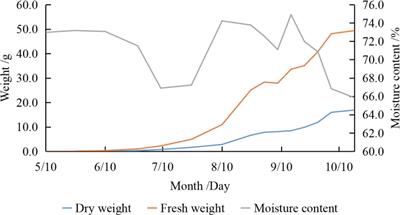 Mineral nutrient dynamics in pecans (Carya illinoensis) ‘Mahan’ grown in southern China